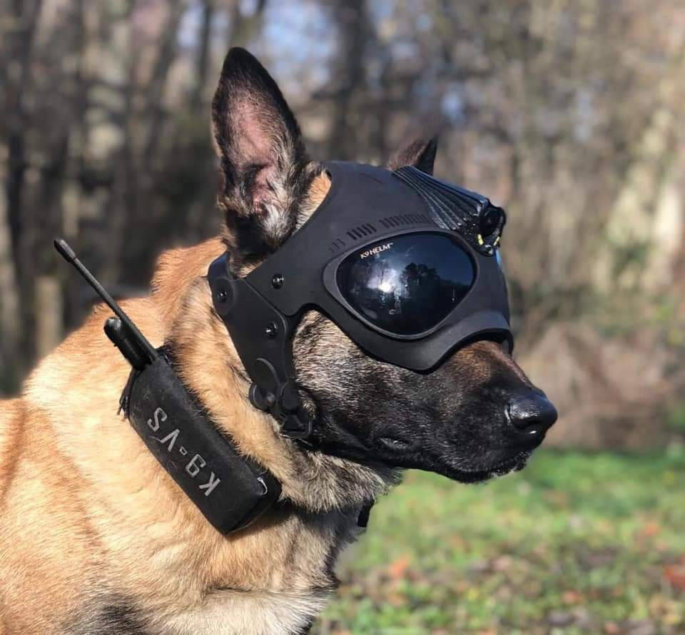 Products K9 Vision System For Police And Dogs