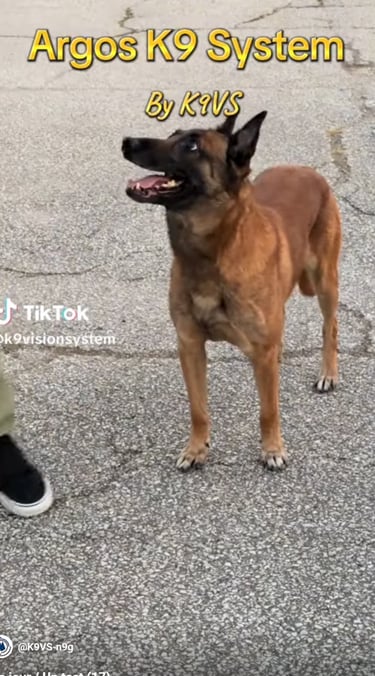 Video LCI  k9 vision system, pour chiens et brigade canine, cyno