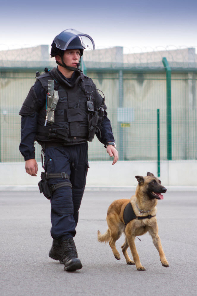 Calibrated - k9 vision system pour brigade canine et cyno