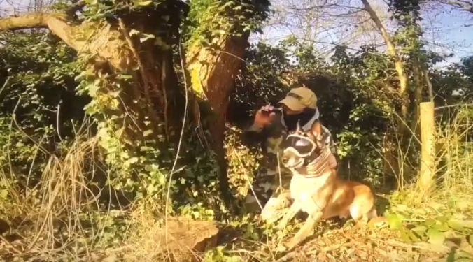Vidéo k9 vision system, pour chiens et brigade canine, cyno