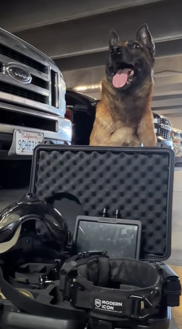 Argos K9, pour chiens et brigade canine, cyno