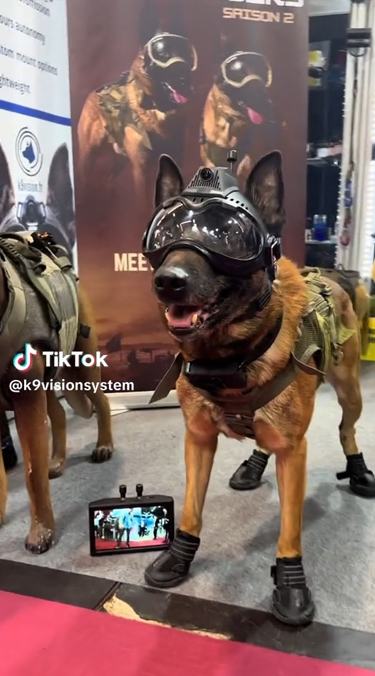 Argos K9 - brigade canine et cyno