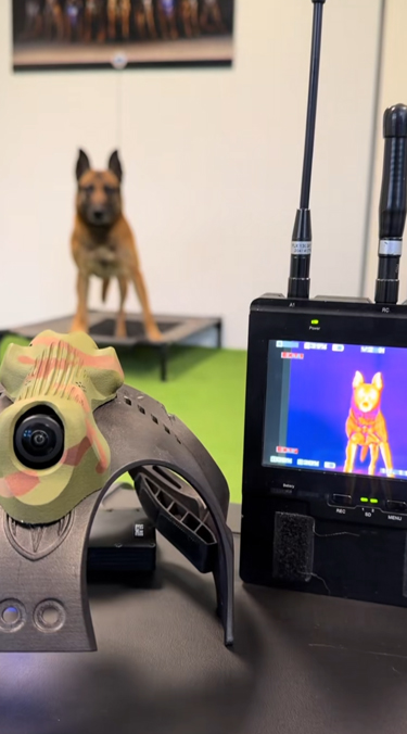 KVS, pour chiens et brigade canine, cyno