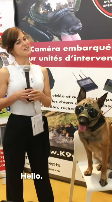 K9VS, pour chiens et brigade canine, cyno