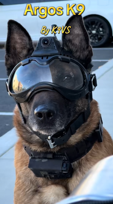 Argos K9, pour chiens et brigade canine, cyno