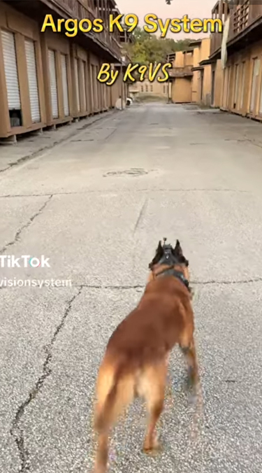 Argos K9- brigade canine et cyno