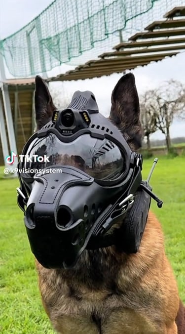 K9VS, pour chiens et brigade canine, cyno